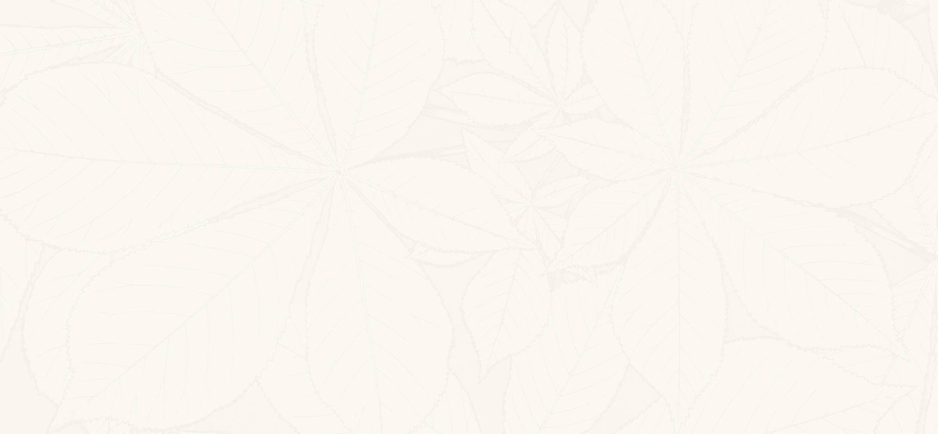 About BG